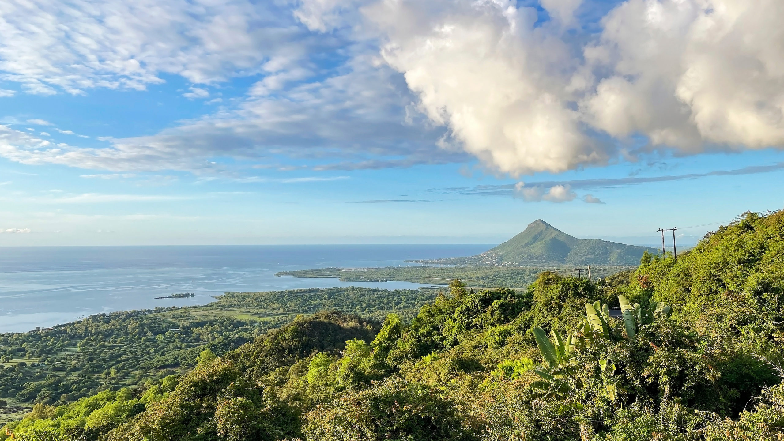 Wald Mauritius Berg Küste