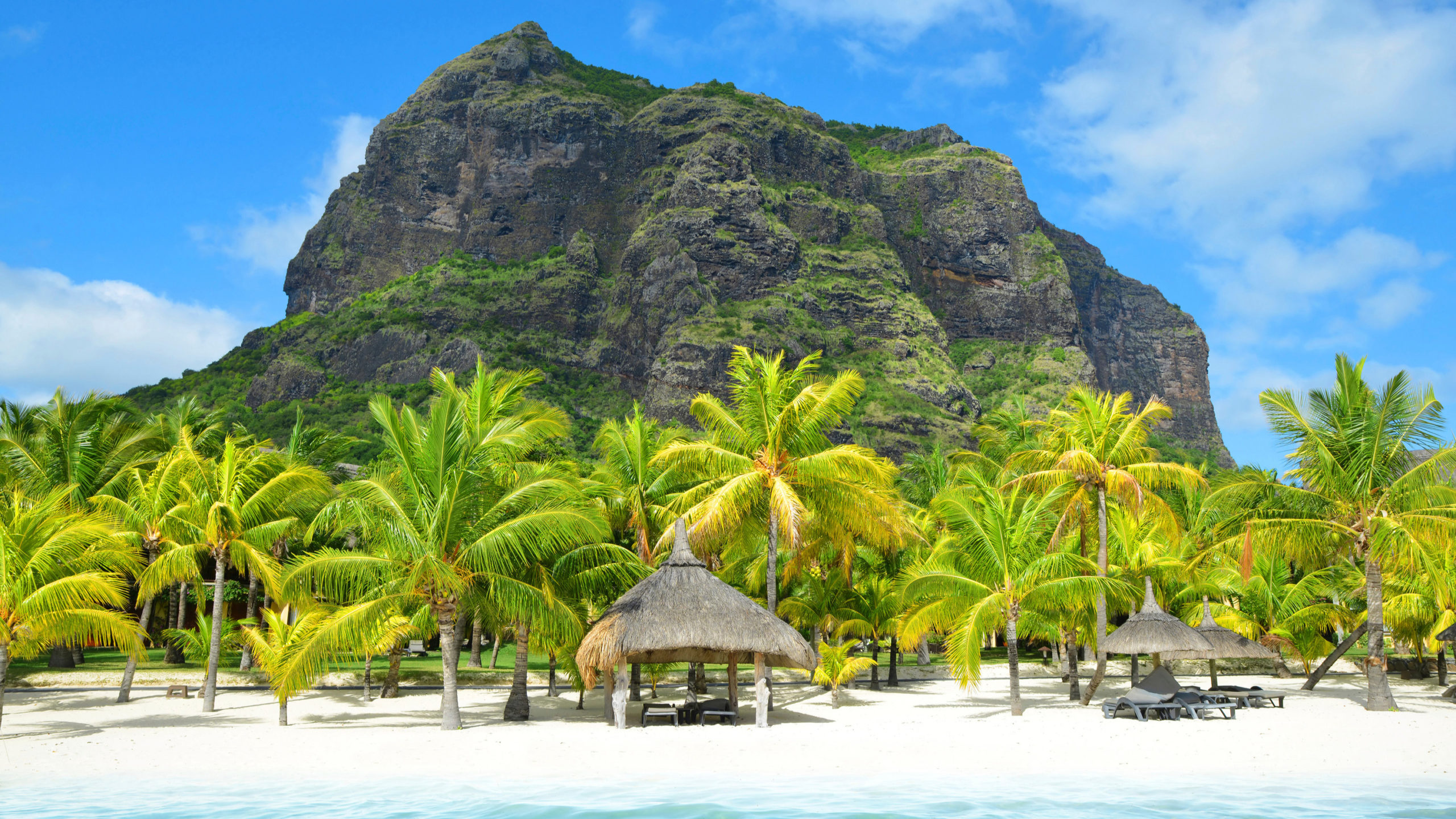 Berg Palmen Strandhütte Meer