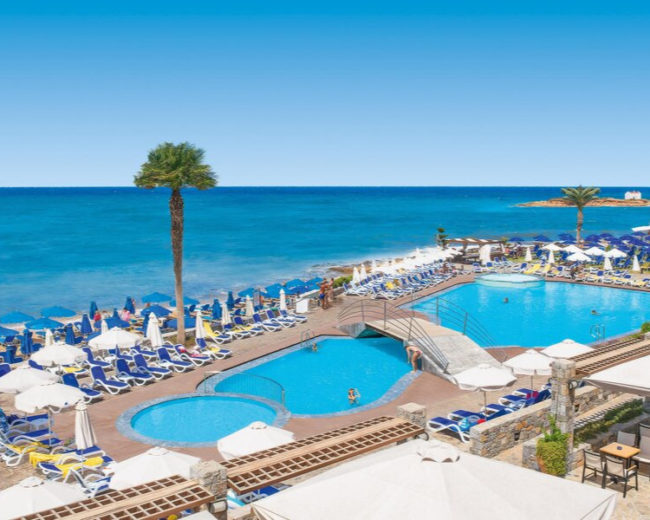 Meer Pool Palme