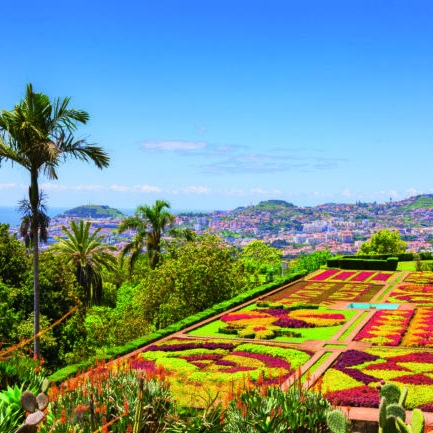 Botanical garden in Funchal, Madeira island, Portugal