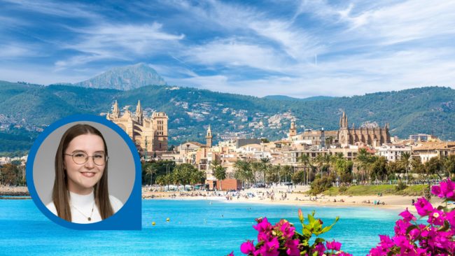 Mallorca Meer Berg Palmen