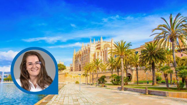 Mallorca Palmen Kirche Wasser