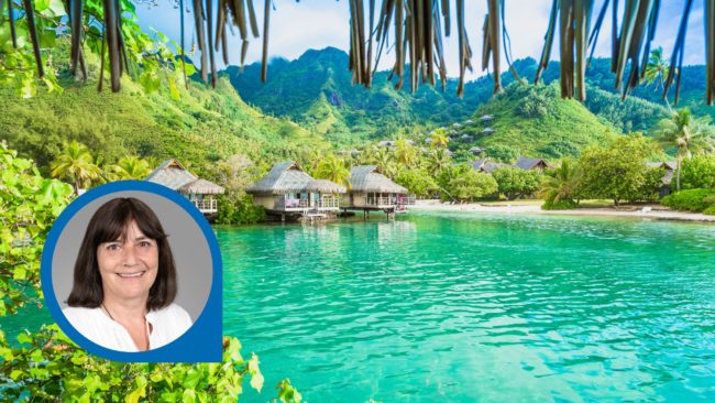 Häuser Palmen Dschungel Türkis