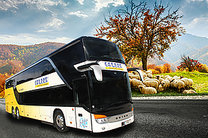 Stockbus GRUBER-reisen