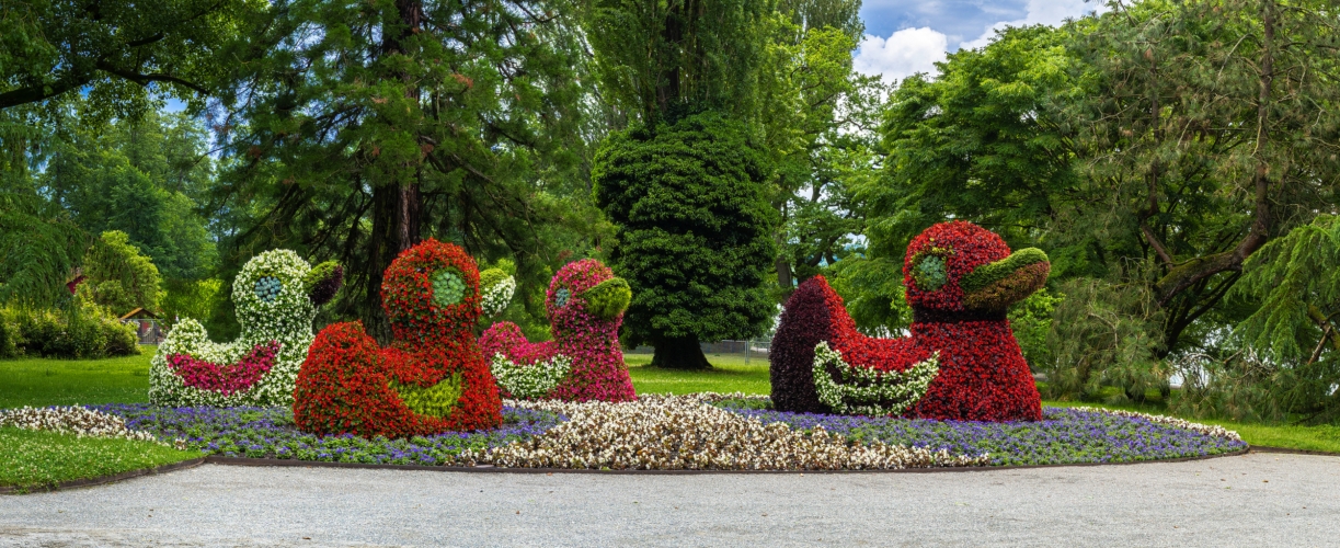 Bodensee und die Insel Mainau