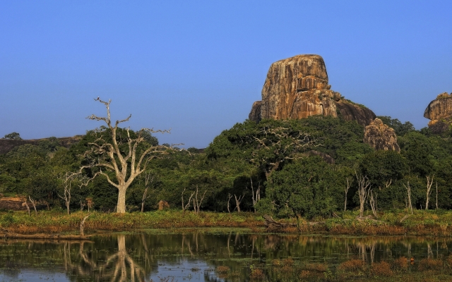 Sri Lanka Safari